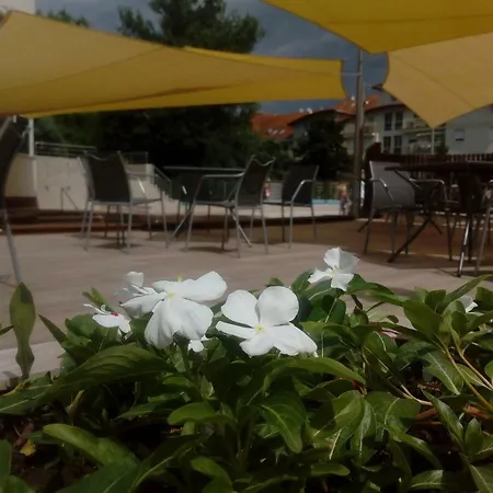 Baratsag Hajduszoboszlo