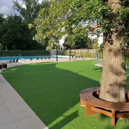 Barátság